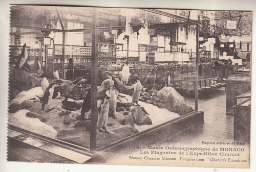 Antigua Postal Pinguinos Expedicion Charcot Museo De Monaco