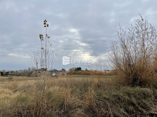 Imagen 8 de 9 de Venta - Lote En Stefenelli - 3300 M2