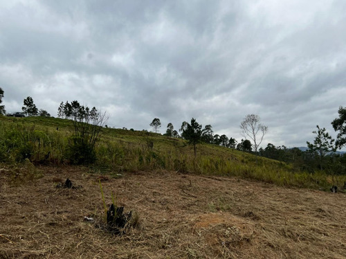 Imagem 9 de 15 de 11o- Terreno Direto Com O Proprietário