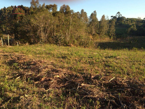 Imagem 7 de 8 de Terreno À Venda, 20000 M² Por R$ 450.000,00 - Areia Branca - Mandirituba/pr - Te0139
