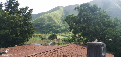 Imagen 2 de 24 de Se Vende Finca En Guayabita Turmero Estado Aragua/yessika Berrios 04249155109