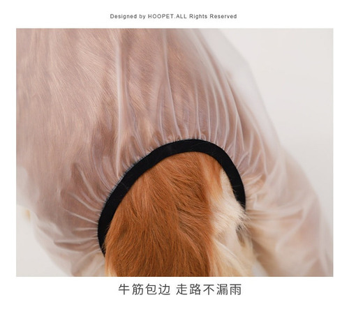 A Chubasquero Transparente For Perros Grandes Con Capucha Y