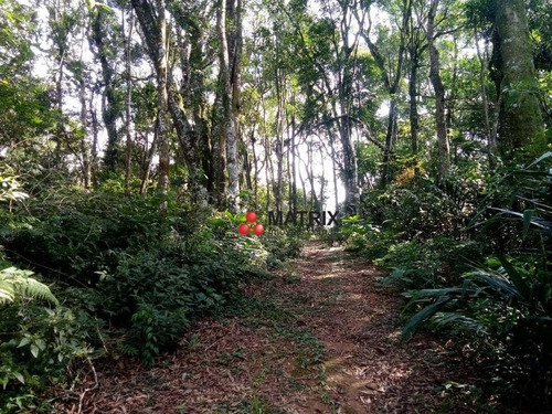 Chácara Com 3 Dormitórios À Venda, 6155 M² Por R$ 3.500.000,00 - Santa Cândida - Curitiba/pr - Ch0049