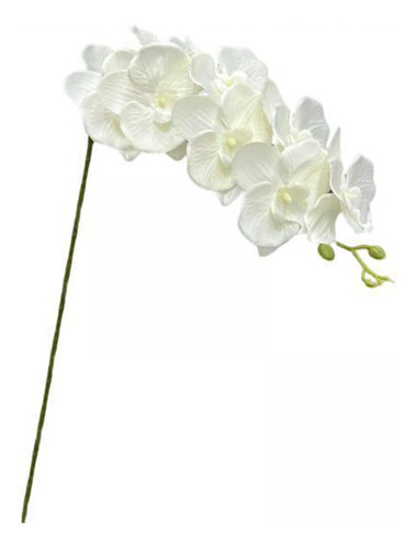 3 Paquete De 2-6 Flores De Orquídeas, Plantas De 110cm