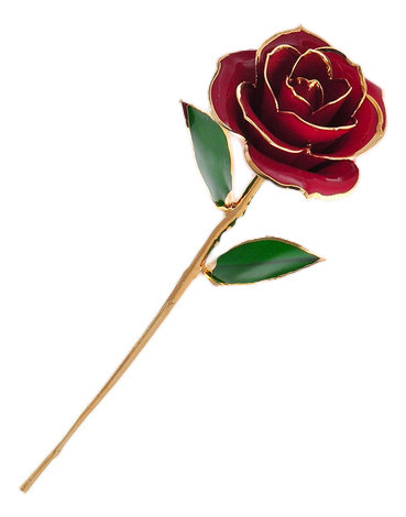 12 Largo Tallo Sumergido 24 K Hoja De Oro Acabado Real Rose