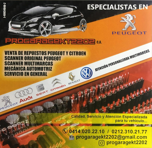 Imagen 2 de 6 de Revision Y Reparacion Peugeot, Escaner Y Diagnostico