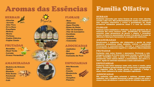 Imagem 2 de 2 de Essência Indiana Sac Mamãe Bebê - Ambiente Calmo 1un.10ml