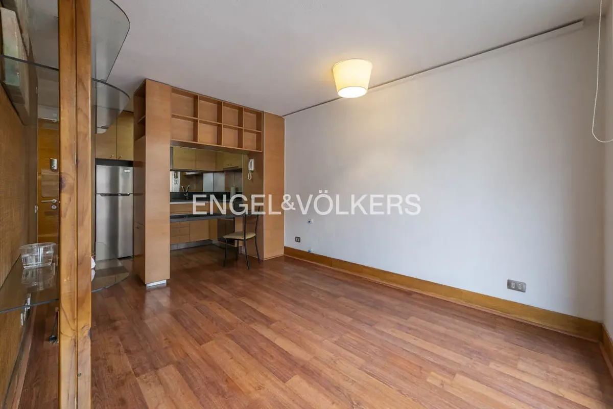Imagen 1 de 20 de Estupendo Departamento 1d/1b En Providencia