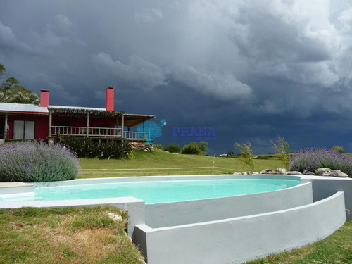 Imagen 12 de 20 de Hermosa Chacra De 39 Hs Con Casa