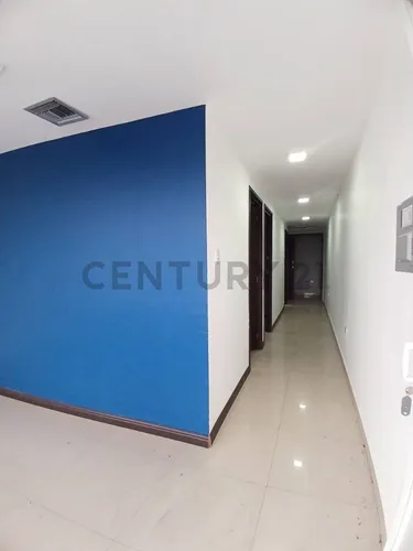Oficinas En Alquiler Y Venta
