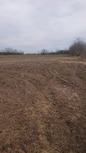 Terreno En Venta - 14650mts2 - Chivilcoy