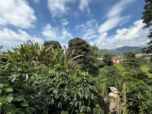 Se Vende Lote Vereda San Juan De Carolina
