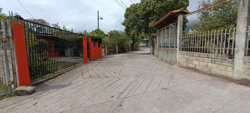 Ninoska Bautista Vende Granja Ubicada En El Valle