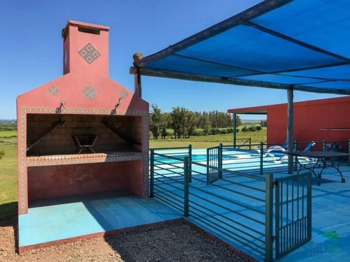 Imagen 6 de 23 de 5 Has Con Gran Casa A 15 Minutos De Punta - Zona Rural Sierra De Los Caracoles