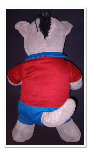 Peluche Selección Chilena Rogelio 40x25 Cms. Aprox. (Usado)