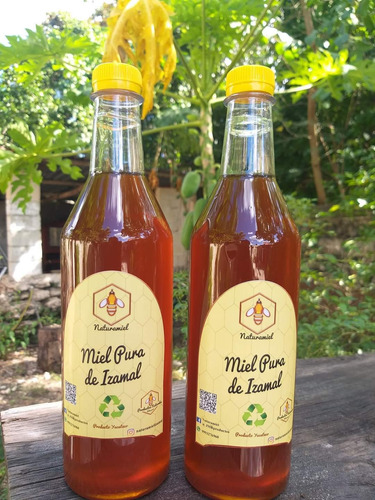 10 Botellas De 1 Kg Miel Pura De Abeja Naturamiel Yucatán 