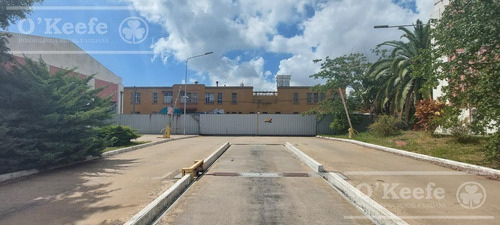 Imagen 5 de 12 de Alquiler | Naves Industriales Modulables - Desde 400 A 5000m2 - Bernal - Quilmes
