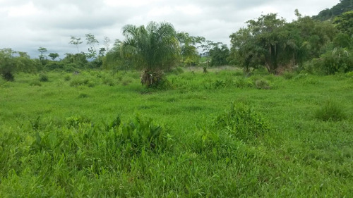 Vende Se 24 Alqueiro De Terra Na Ipe Municipio De Vila Rica 