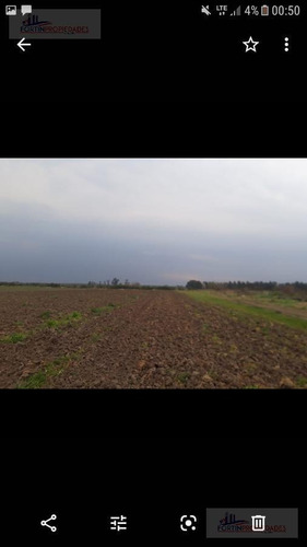 Imagen 7 de 7 de Campo - Abasto