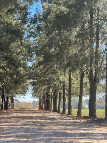 Lotes - Terreno En Venta - Barrio Abierto - Las Merceditas