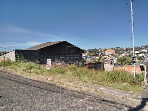 Imagem 3 de 5 de Terreno - Mina Do Mato - Ref: 30169 - V-30167