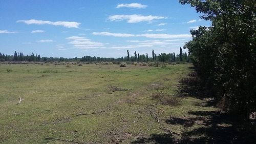Vendo Finca Cuadro Benegas San Rafael Mendoza