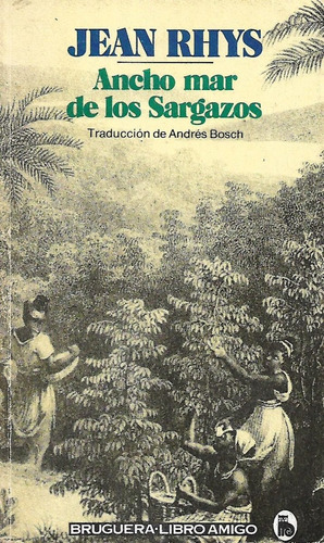 Ancho Mar De Los Sargazos, Jean Rhys, Wl.