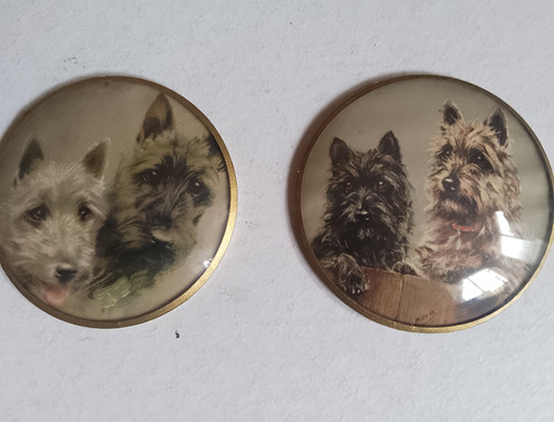 Vintage Cuadros De Perritos Años 50s