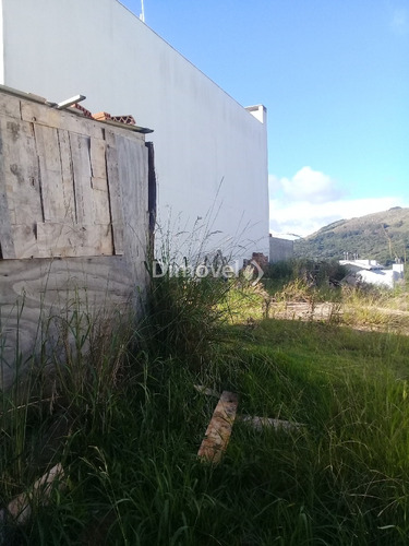 Imagem 2 de 3 de Terreno - Hipica - Ref: 13659 - V-13659