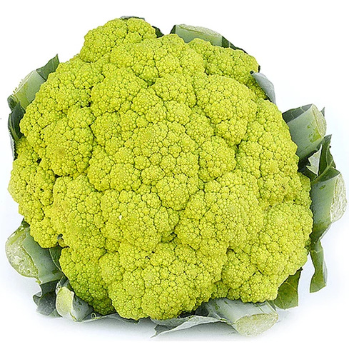 2 Plantines De Coliflor Verde Di Maseratta - Para Tu Huerta Verde Lima