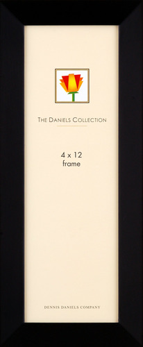Dennis Daniels Galeria Woods Panoramic Picture Frame 4 X 12