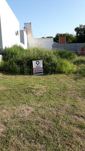 Imagen 2 de 5 de En Venta- Terreno En Barrio Los Alamos