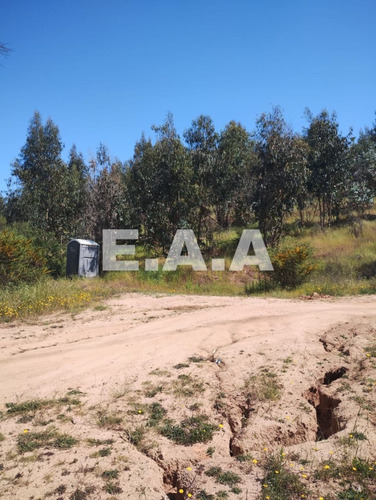 Se Vende Terreno 5.000 Mts2 En Limache, Campo Koyam.