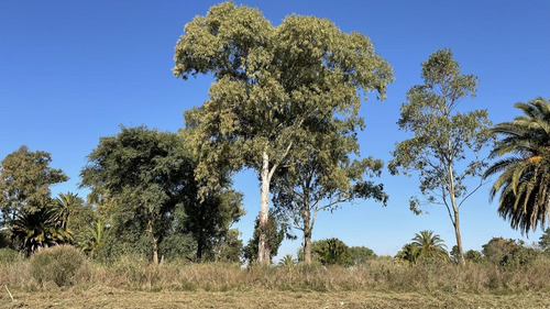 Parque Jousten - Manzana D Lote 25