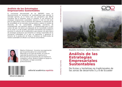 Libro: Análisis De Las Estrategias Empresariales Sustentable