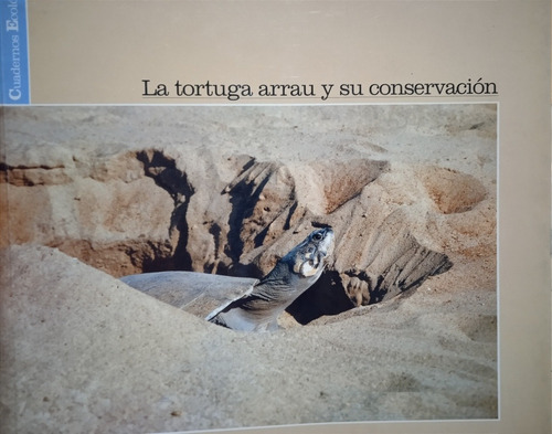 La Tortuga Arrau Y Su Conservación / Lina Licata