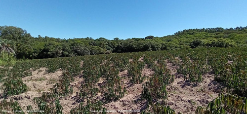 Fazenda Para Venda Em Mariana Pimentel, Potreiro Grande, 2 Dormitórios, 1 Banheiro - 1235_1-1710488