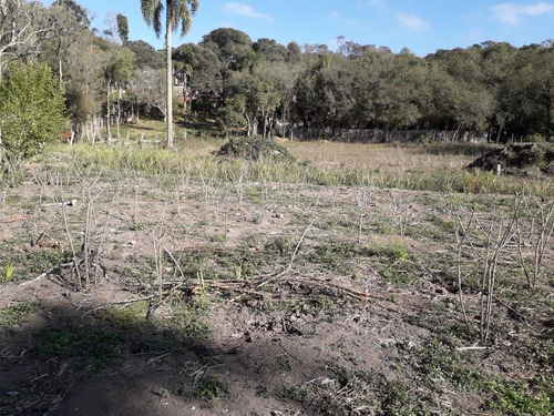 Imagem 2 de 6 de Chácara Em Ganchinho, Curitiba/pr De 5500m² 1 Quartos À Venda Por R$ 430.000,00 - Ch2320904-s