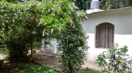 37 Hectareas Ganaderas En Marcos Paz