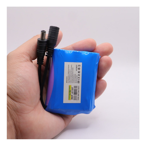 10 Baterías Pila Recargable 12v Volts Litio Pcb Plug 5.5mm