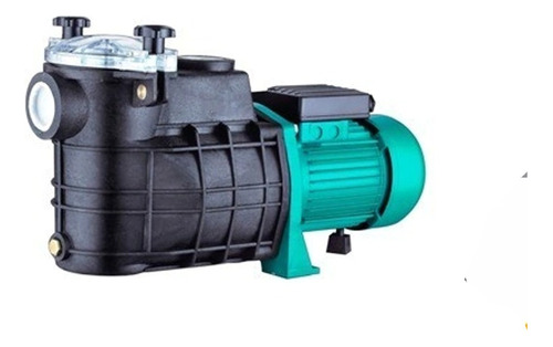 Electrobomba Fema Filtro Pelo 220v Pileta Piscina Centrifuga