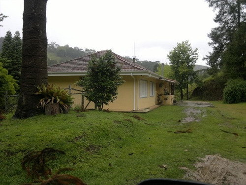 Imagem 7 de 15 de Magnifica Fazendinha 33 Alqueires - St-631
