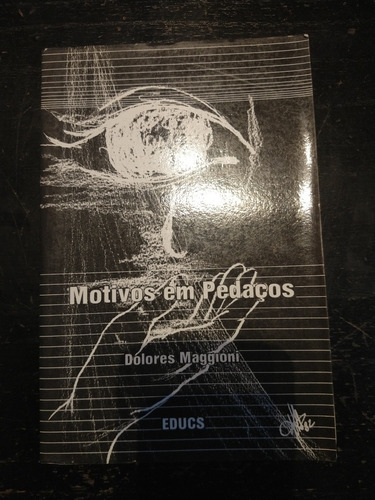 Libro, Motivos Em Pedacos, Dolores Maggioni,educs