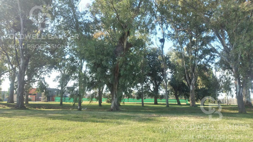 Lote En Lagos De San Eliseo - Canning