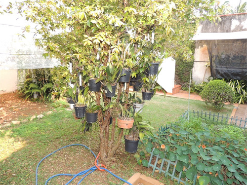 Imagem 10 de 27 de Casa Térrea, 4 Dormitórios Sendo 2 Suítes - Reo516577