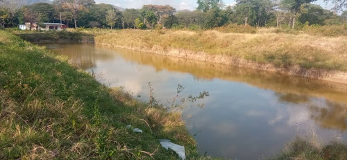 Imagen 8 de 26 de Finca En Apartadero - Cojedes