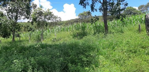 Imagem 12 de 15 de Fazenda Para Venda Em Monjolos, Quebra Pé, 4 Dormitórios, 1 Banheiro - F16_1-1713401