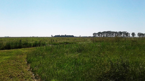 Campo Mixto En Chascomús - Permuta En La Plata
