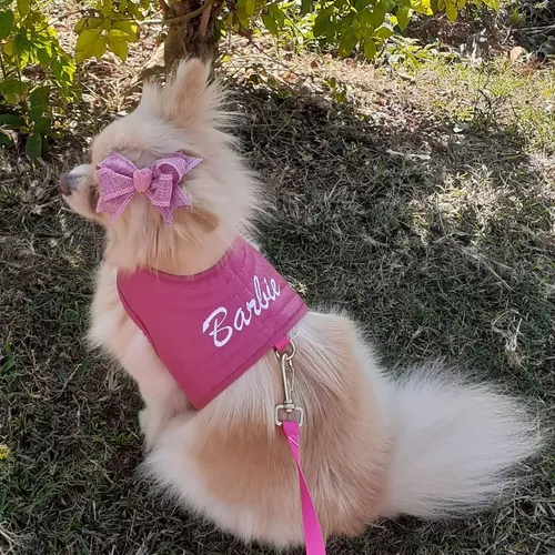 Roupa Roupinha Pet Para Cachorro Vestido Barbie Com Guia