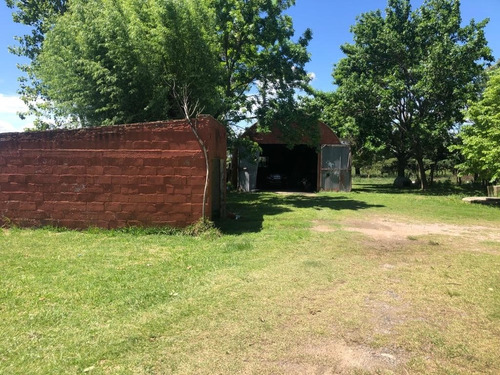 Venta Chacra Con Casa 2 Dormitorios Conchillas. Colonia